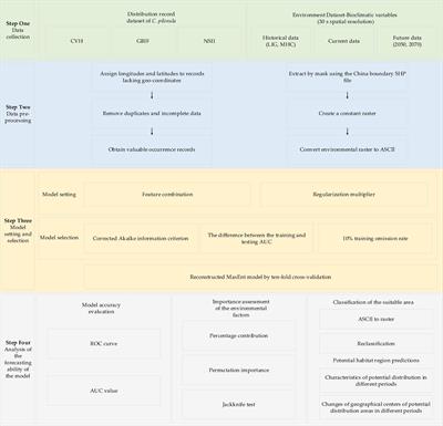 Prediction of Potentially Suitable Distributions of Codonopsis pilosula in China Based on an Optimized MaxEnt Model